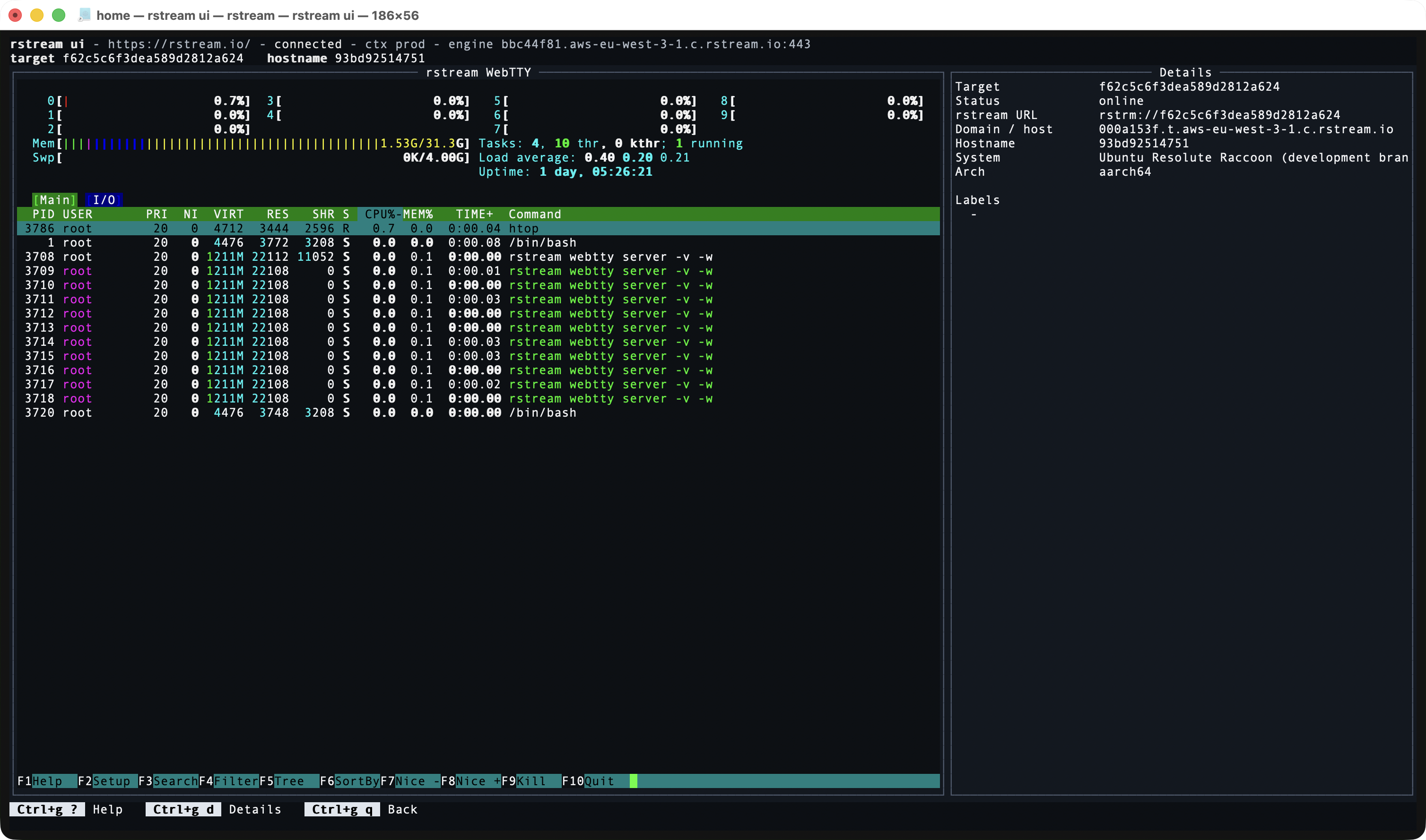 rstream ui with an embedded WebTTY terminal session